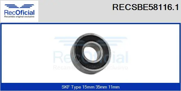 Bearing (RECSBE58116.1)