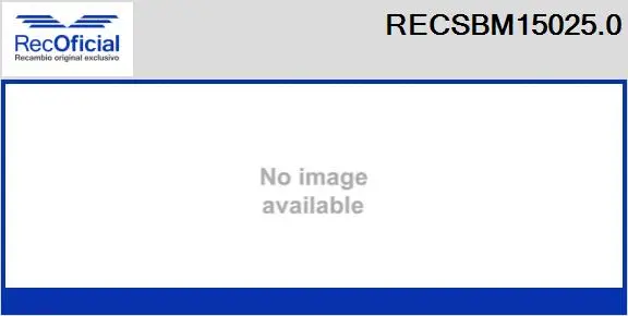 Carbon Brush, starter (RECSBM15025.0)