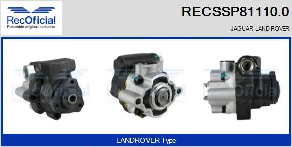 Hydraulic Pump, steering (RECSSP81110.0)