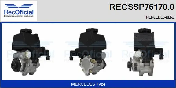 Hydraulic Pump, steering (RECSSP76170.0)