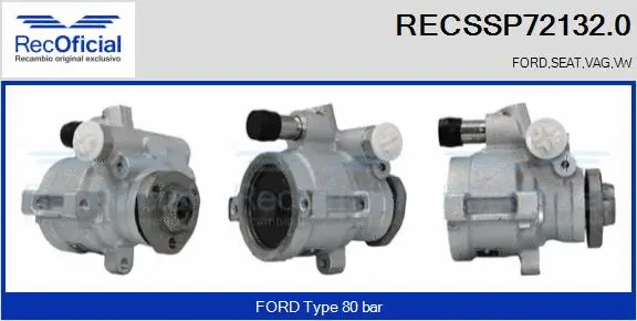 Hydraulic Pump, steering (RECSSP72132.0)