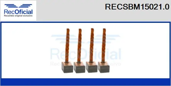 Carbon Brush, starter (RECSBM15021.0)