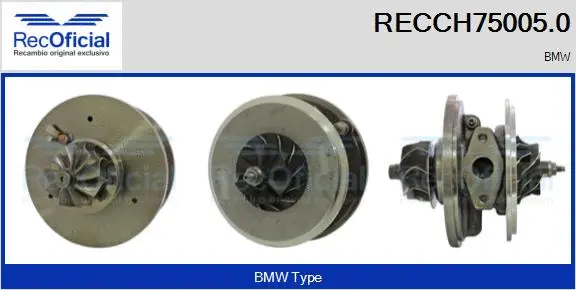 Core assembly, turbocharger (RECCH75005.0)