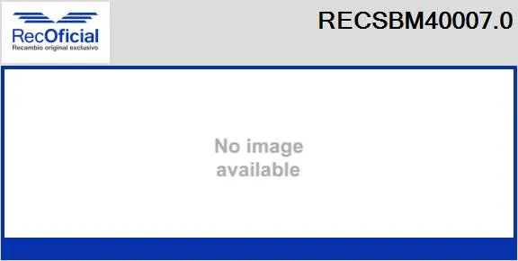 Carbon Brush, starter (RECSBM40007.0)