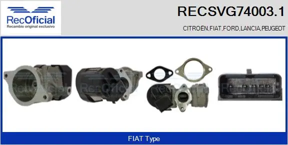 EGR Valve (RECSVG74003.1)