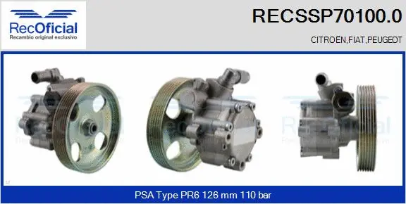 Hydraulic Pump, steering (RECSSP70100.0)