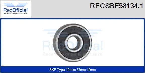 Bearing (RECSBE58134.1)