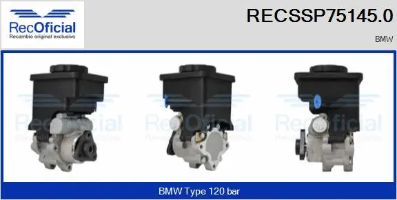Hydraulic Pump, steering (RECSSP75145.0)