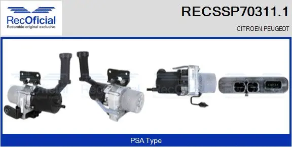 Hydraulic Pump, steering (RECSSP70311.1)