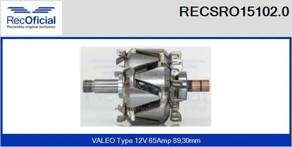 Rotor, alternator (RECSRO15102.0)