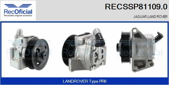 Hydraulic Pump, steering (RECSSP81109.0)
