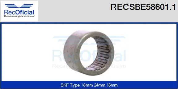 Bearing (RECSBE58601.1)