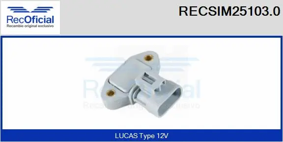 Switch Unit, ignition system (RECSIM25103.0)