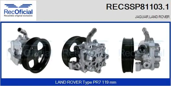 Hydraulic Pump, steering (RECSSP81103.1)