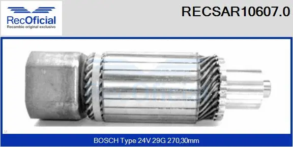 Armature, starter (RECSAR10607.0)