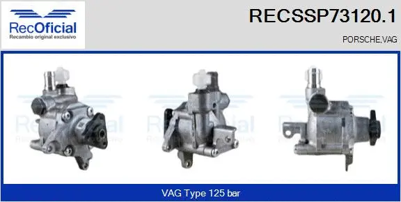 Hydraulic Pump, steering (RECSSP73120.1)