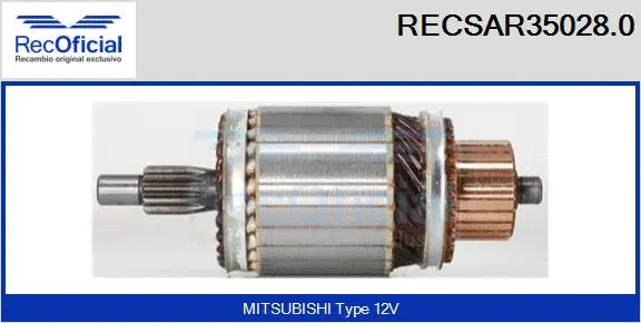 Armature, starter (RECSAR35028.0)