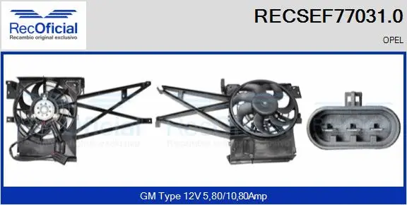 Electric Motor, radiator fan (RECSEF77031.0)