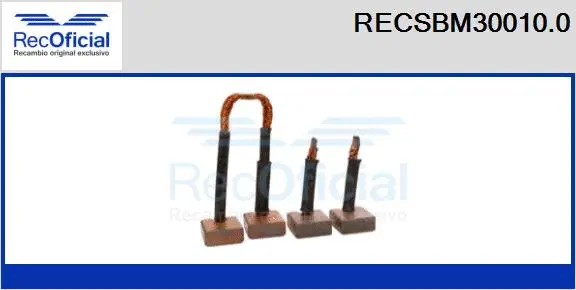 Carbon Brush, starter (RECSBM30010.0)