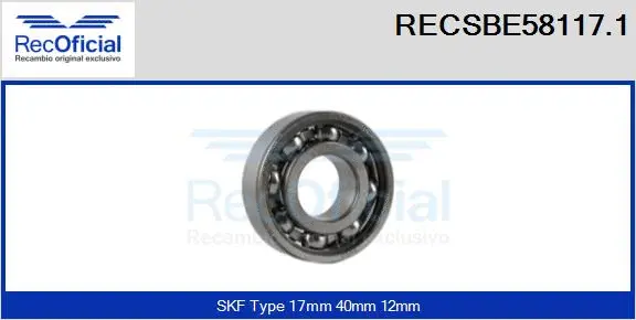 Bearing (RECSBE58117.1)