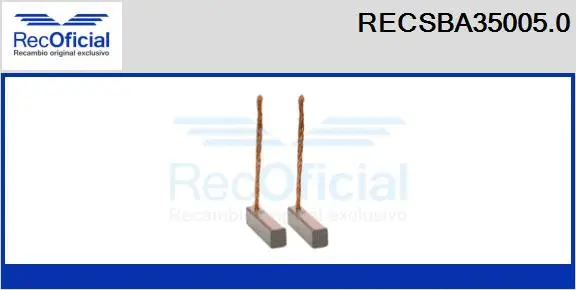 Carbon Brush, alternator (RECSBA35005.0)