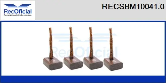 Carbon Brush, starter (RECSBM10041.0)