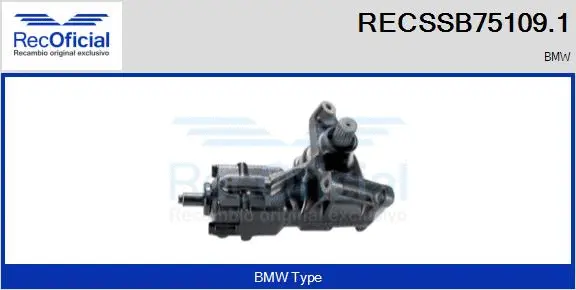 Steering Gear (RECSSB75109.1)