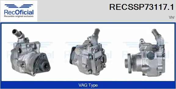 Hydraulic Pump, steering (RECSSP73117.1)