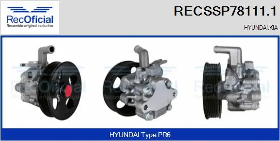 Hydraulic Pump, steering (RECSSP78111.1)