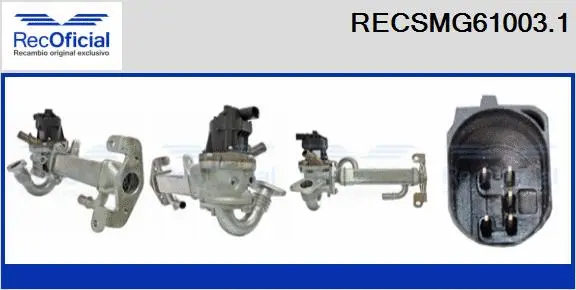 EGR Module (RECSMG61003.1)