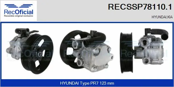 Hydraulic Pump, steering (RECSSP78110.1)