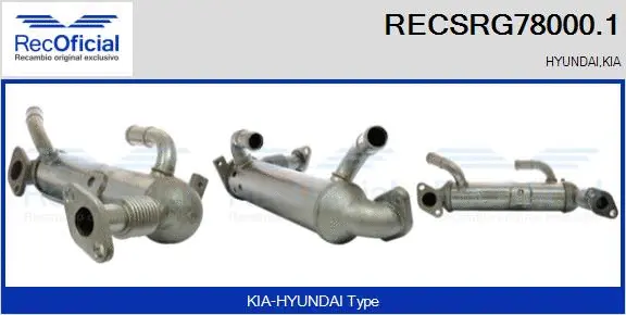 Cooler, exhaust gas recirculation (RECSRG78000.1)