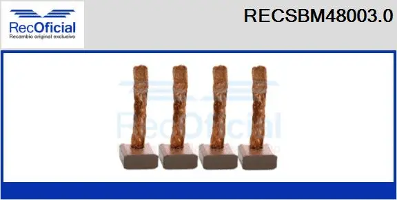 Carbon Brush, starter (RECSBM48003.0)