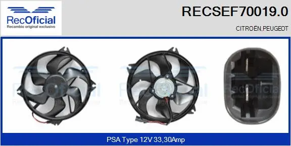 Electric Motor, radiator fan (RECSEF70019.0)