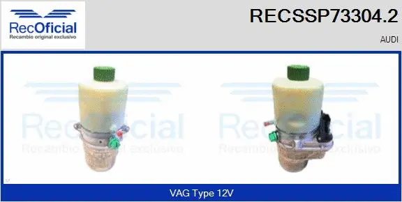 Hydraulic Pump, steering (RECSSP73304.2)