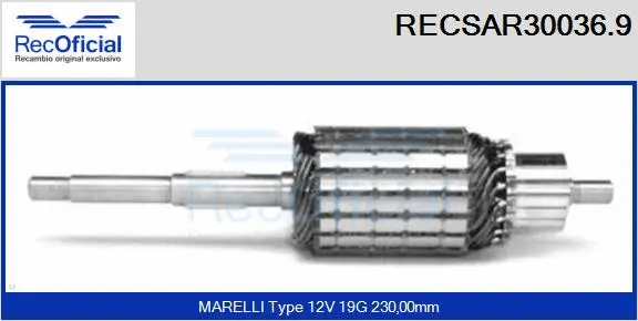 Armature, starter (RECSAR30036.9)