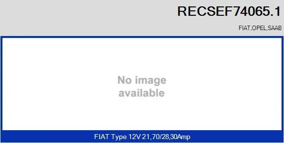 Electric Motor, radiator fan (RECSEF74065.1)