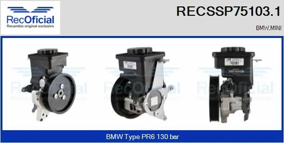 Hydraulic Pump, steering (RECSSP75103.1)