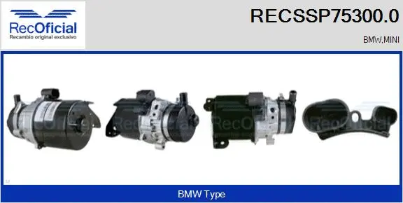 Hydraulic Pump, steering (RECSSP75300.0)