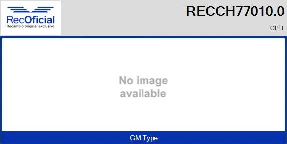 Core assembly, turbocharger (RECCH77010.0)