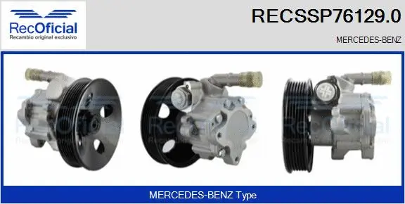 Hydraulic Pump, steering (RECSSP76129.0)
