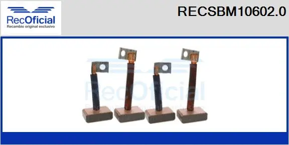 Carbon Brush, starter (RECSBM10602.0)