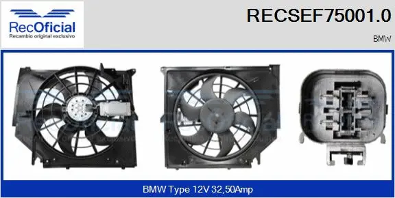 Electric Motor, radiator fan (RECSEF75001.0)