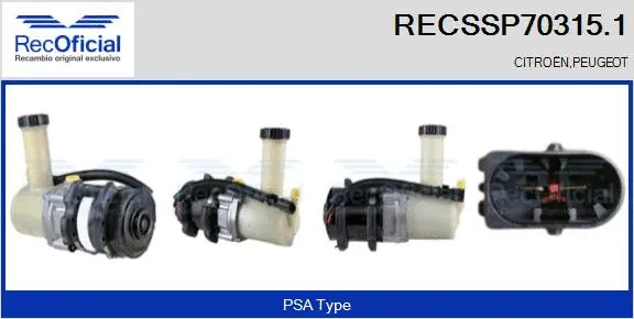 Hydraulic Pump, steering (RECSSP70315.1)