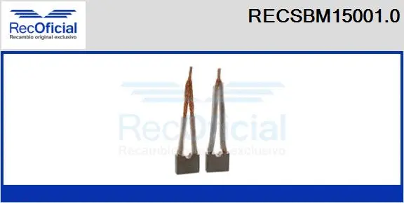 Carbon Brush, starter (RECSBM15001.0)