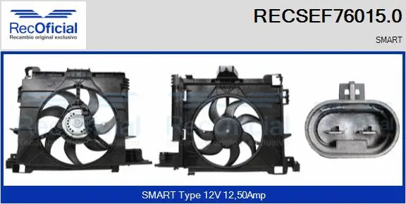 Electric Motor, radiator fan (RECSEF76015.0)