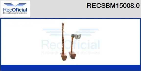 Carbon Brush, starter (RECSBM15008.0)
