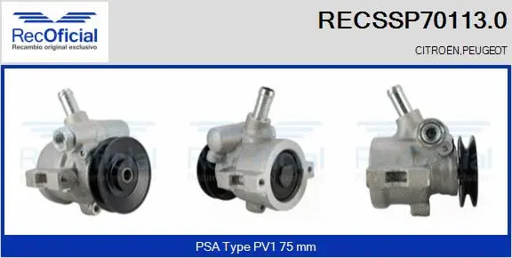 Hydraulic Pump, steering (RECSSP70113.0)