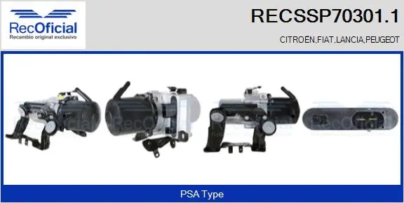 Hydraulic Pump, steering (RECSSP70301.1)