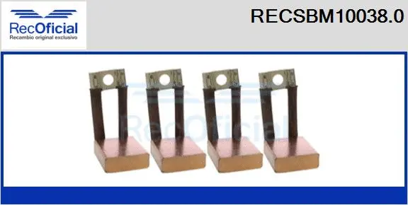 Carbon Brush, starter (RECSBM10038.0)